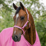 Halster Bucas Aurora Pink