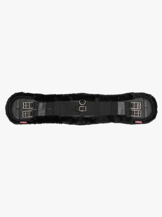 Dressuursingel