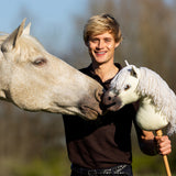Nalanta Hobby Horse Antares
