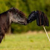 Nalanta Hobby Horse Macho