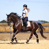 Maternity Riding Leggings Navy