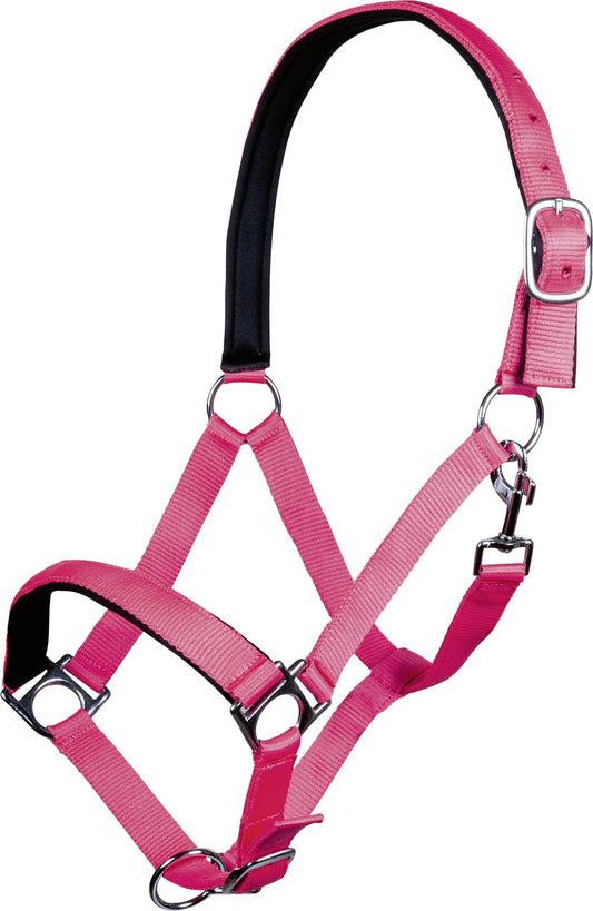 Halster Stars Softice Neon Roze