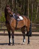 Zadeldek Eldorado Arctic