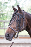 Fly browband black