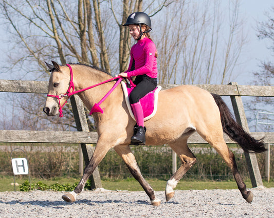 Touwhalster met teugel Kobaltblauw