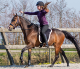 Bareback pad Kobalt Blauw