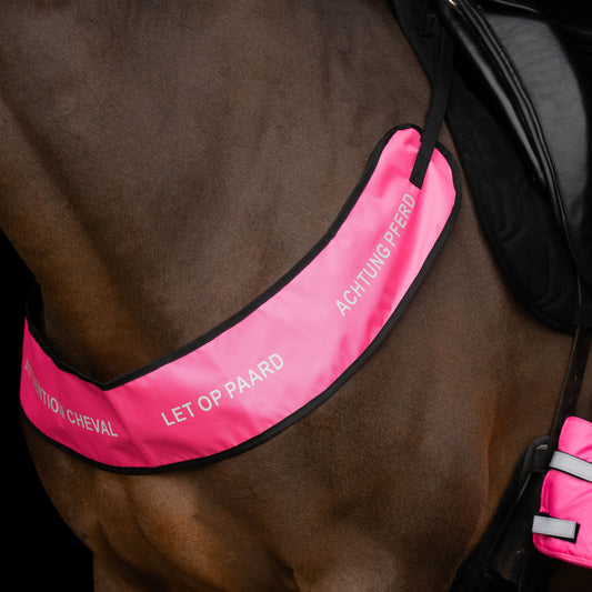 Borsttuig IRHReflective Roze