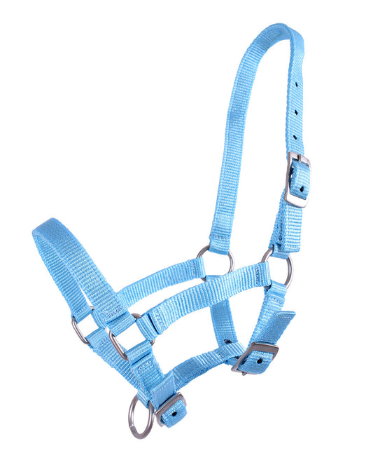 Veulenhalster Baby Blauw