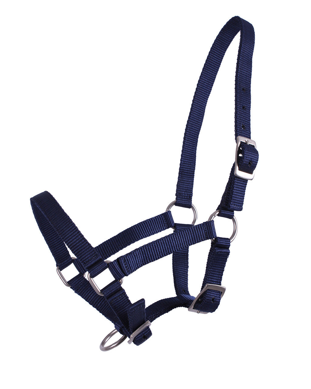 Veulenhalster Donker blauw