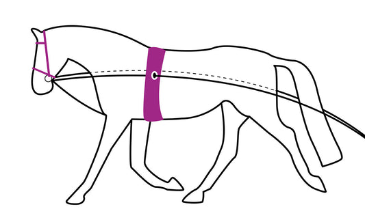 Double lunge line black
