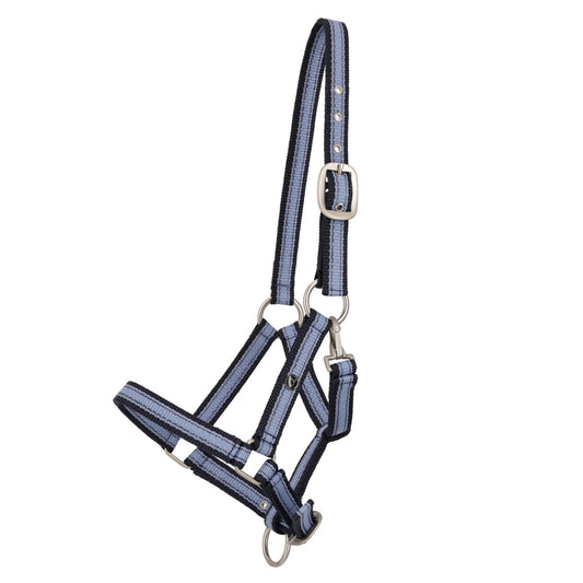 Veulenhalster Misty Blue