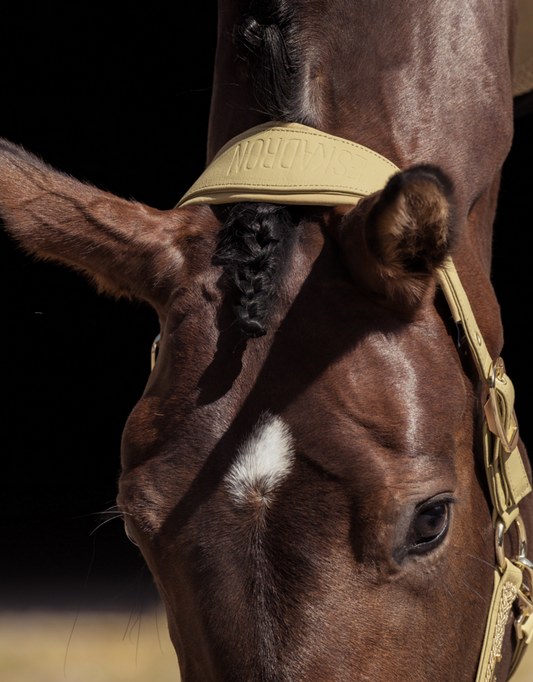 Eskadron Halster Faux Leather Cardamom