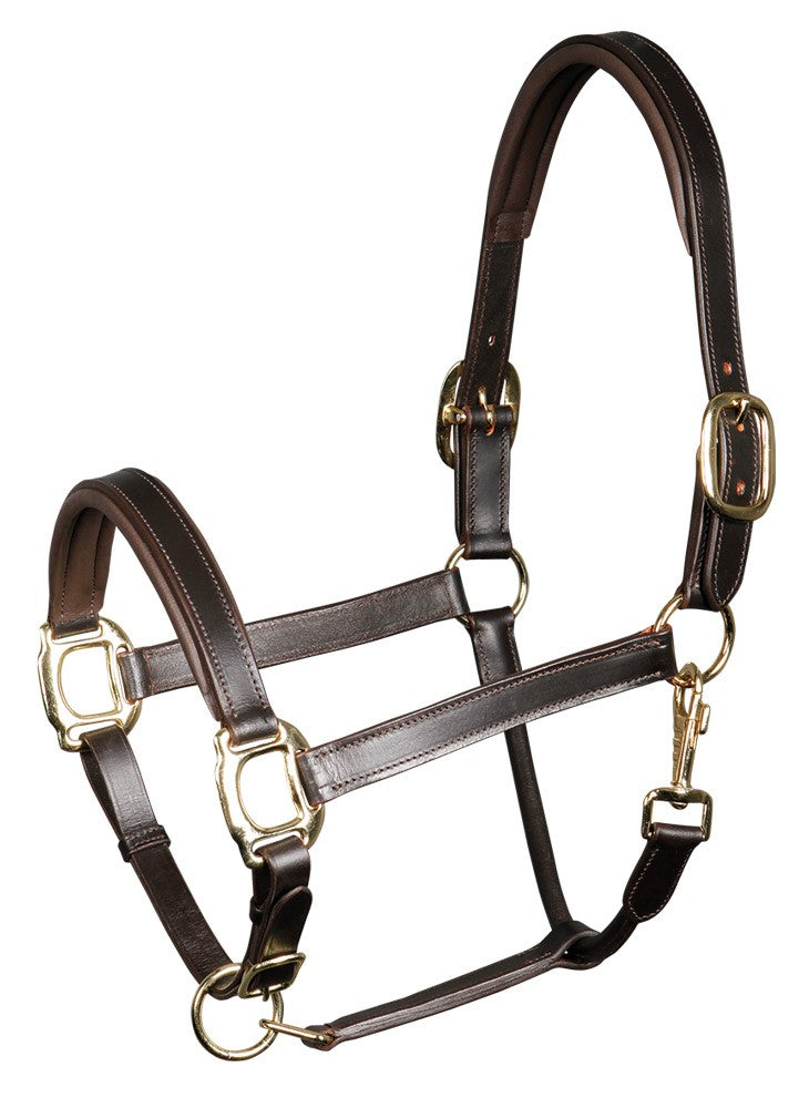 Halster leder padded bruin