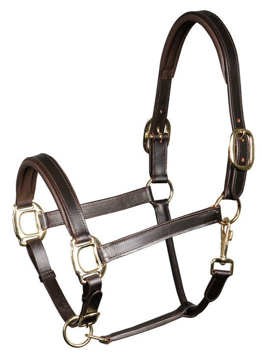 Halster leder padded bruin