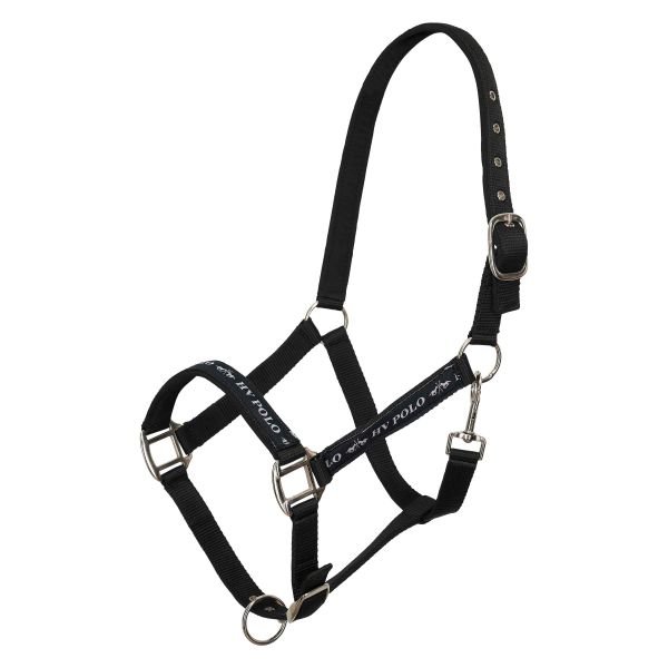 Halster HVPNena Black