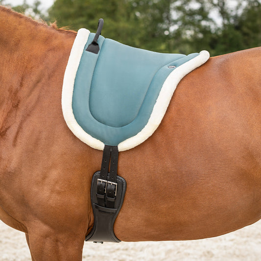 Bareback pad Petrol