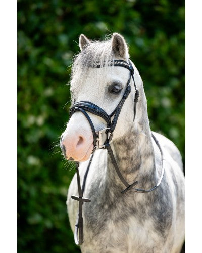 HB Showtime Stockholm A-Pony