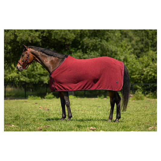 Fleecedeken CLX 240g Carbernet