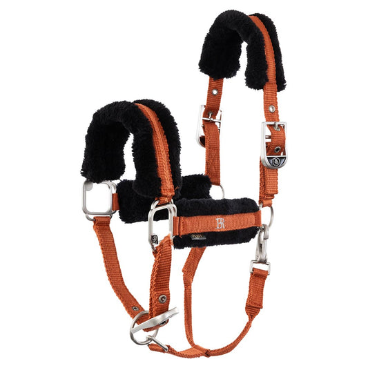 Halter Diego Mecca Orange