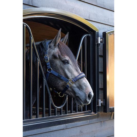 Halster Lieve Stratifield Sea