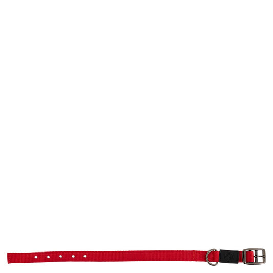 Honden Halsband Tango Red