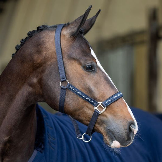 Halster HVPNena Navy