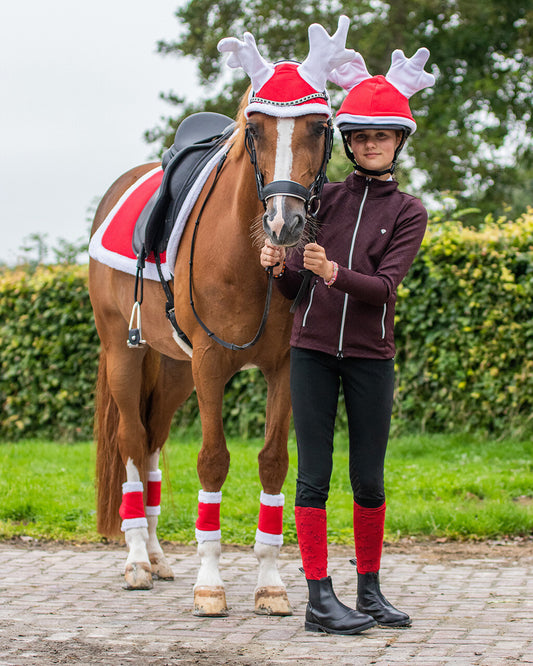 Rendiermuts paard Kerst
