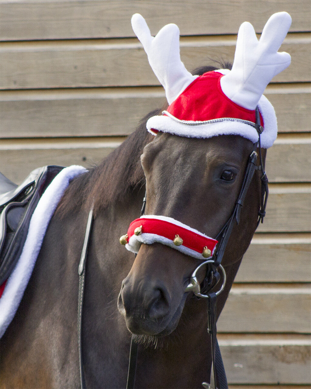 Rendiermuts paard Kerst