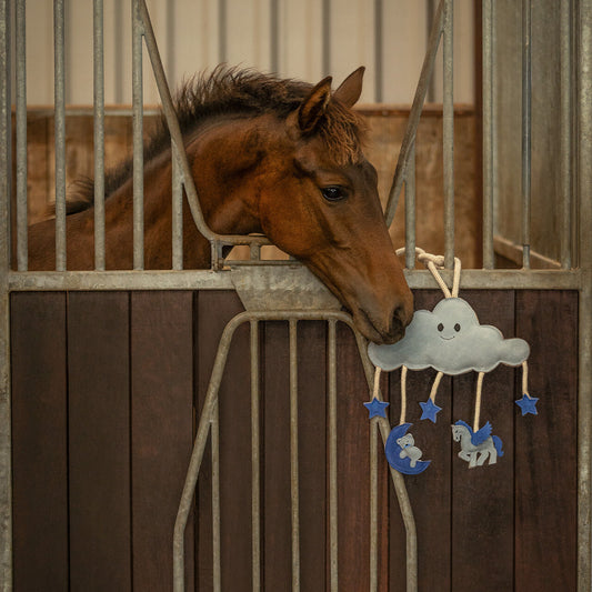 Paardenspeelgoed Novy