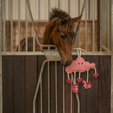 Paardenspeelgoed Novy