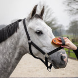 Borstelset Royal