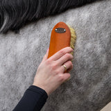 Borstelset Royal