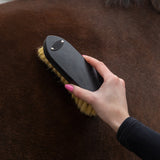 Borstelset Royal