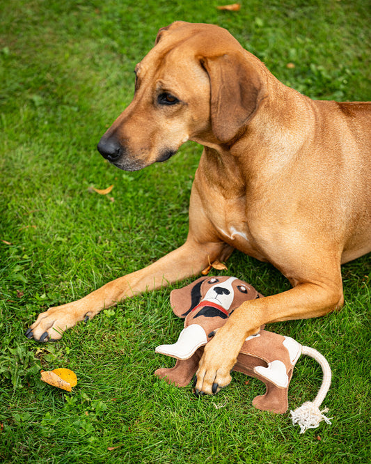 Hondenspeelgoed Stable Buddy