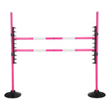 Hindernis Hobby Horse Fuchsia