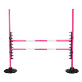 Hindernis Hobby Horse Fuchsia