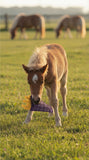 Paardenspeelgoed Snackcounter Friet
