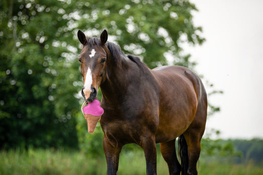 Paardenspeelgoed Snackcounter IJs
