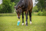Paardenspeelgoed Snackcounter Milkshake