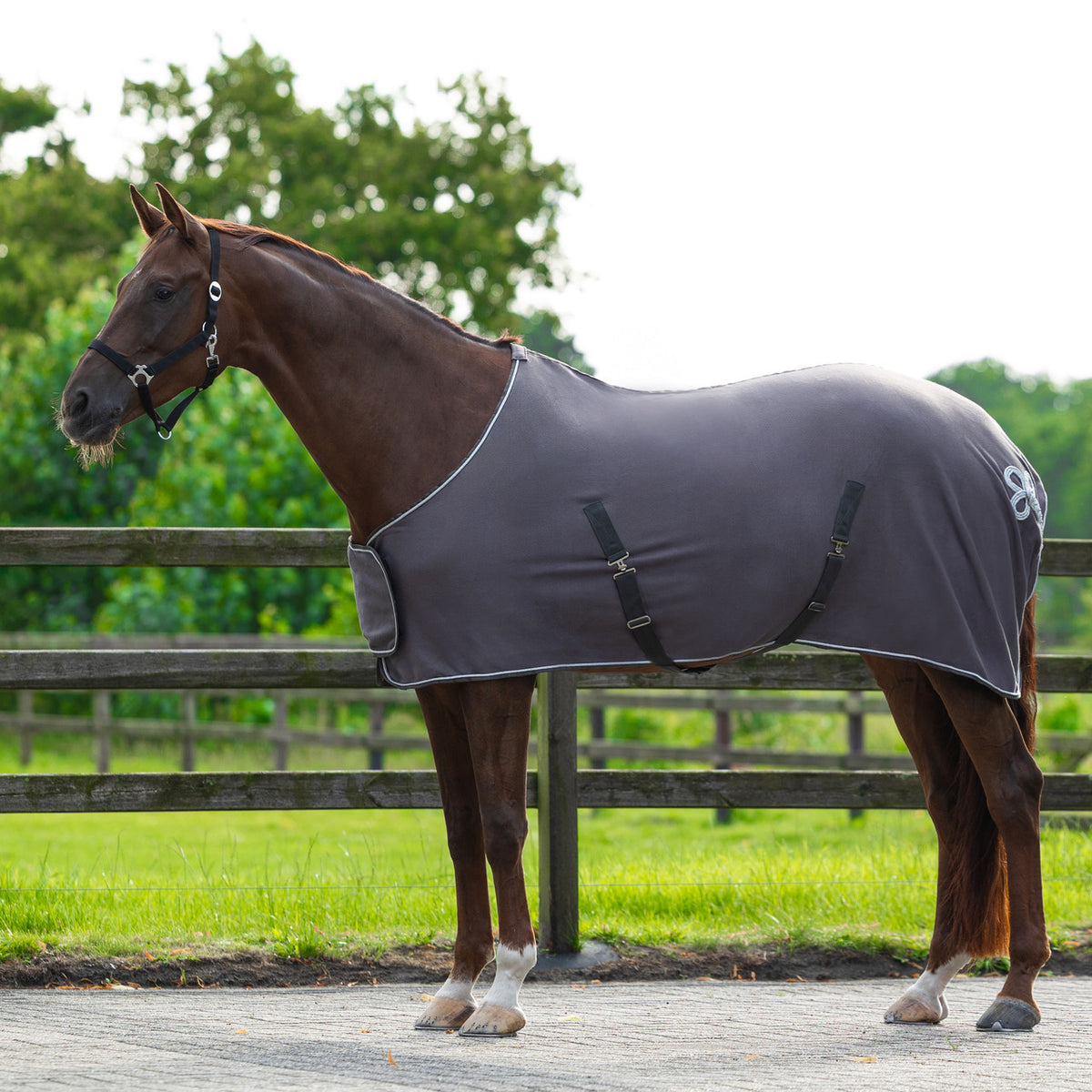 Fleecedeken Ornament