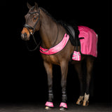 Borsttuig IRHReflective Roze