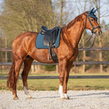Saddle pad Salerno Teal