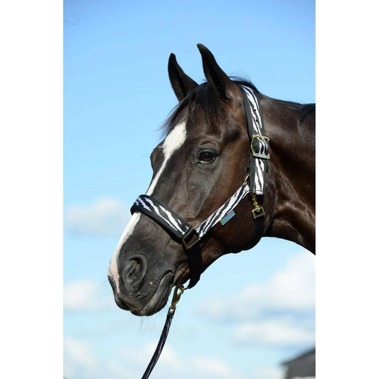 Halster Bucas Zebra