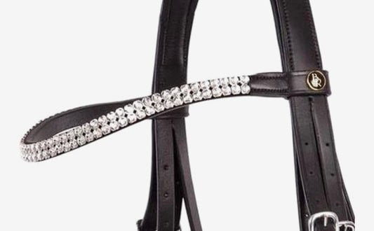 Bridle and Trens Swindon II Full