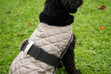 Honden Regendeken Moon Rock