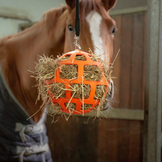 Slowfeeder Fun &amp; Flex Ball Pink