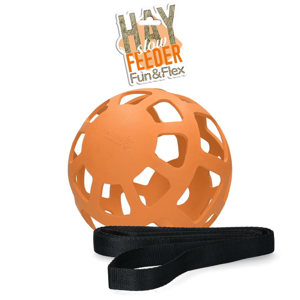 Slowfeeder Fun & Flex Bal Oranje