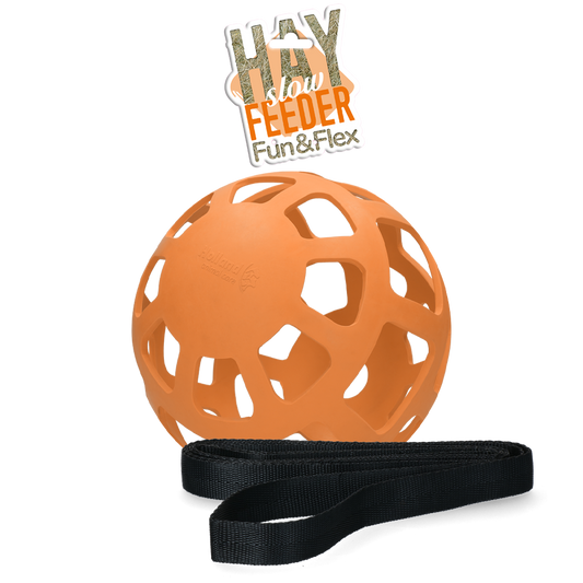 Slowfeeder Fun &amp; Flex Ball Orange