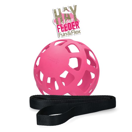 Slowfeeder Fun &amp; Flex Ball Pink