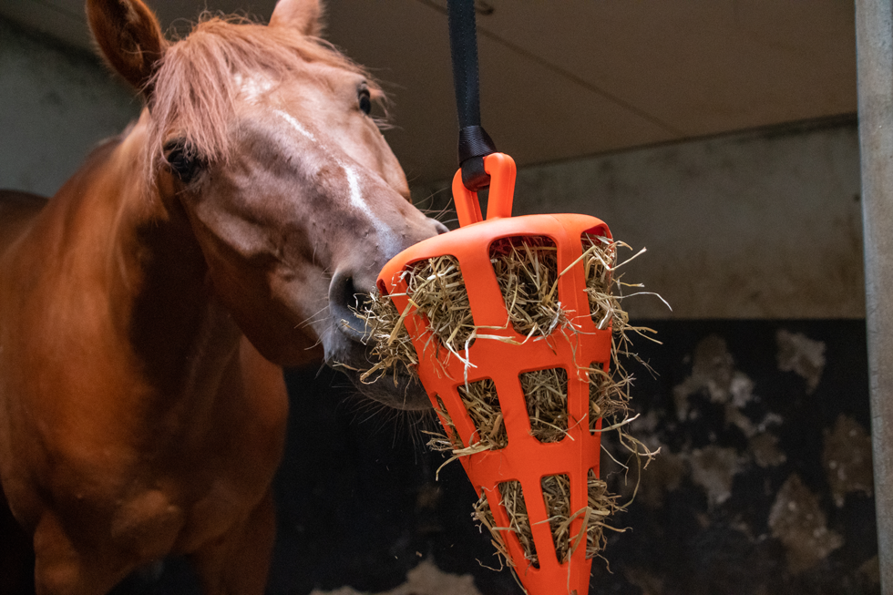 Slowfeeder Fun & Flex Oranje Wortel